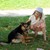 tiere13