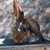 tiere9
